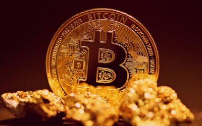 Le Halving Bitcoin