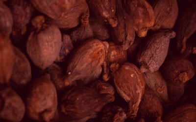 La hausse des tarifs du cacao