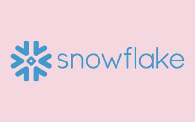 Arret sur Image – Snowflake