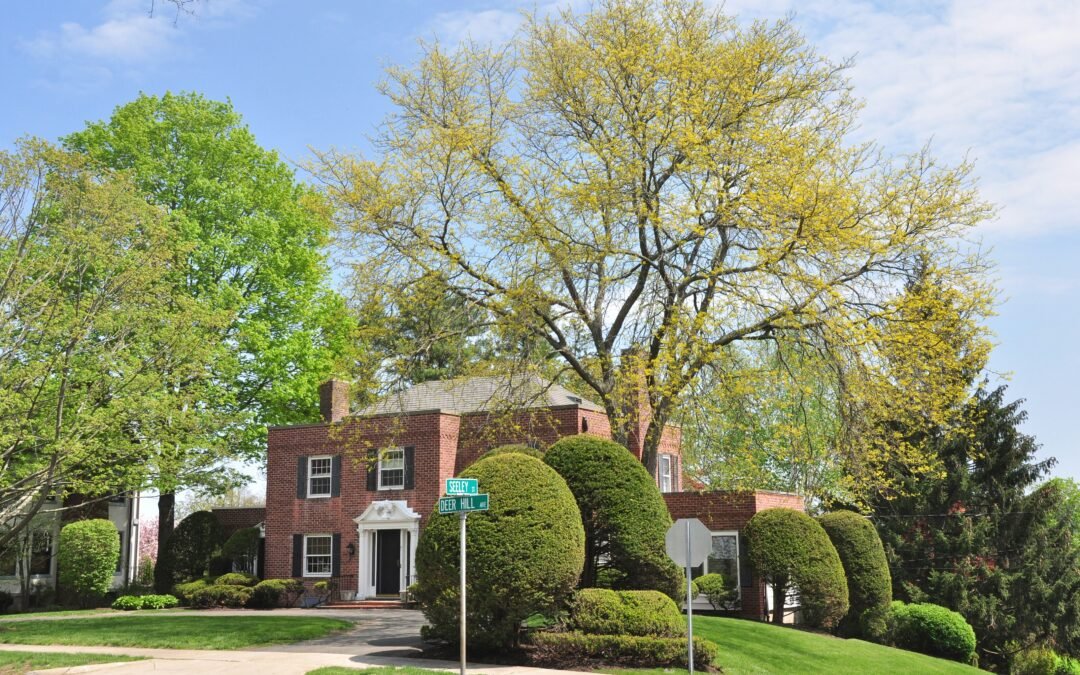 La pierre pour bâtir une économie solide : l’administration Trump au secours d’un secteur cacochyme